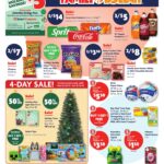 Family Dollar Black Friday Sales Ad 2025