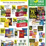 Dollar General Black Friday Ad 2025