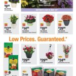 Home Depot Ad