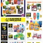 Dollar General Ad